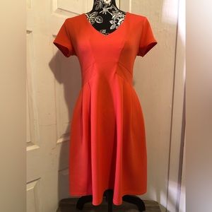 Coral dress ‘ Curling collection ‘ Worn once & Dry cleaned